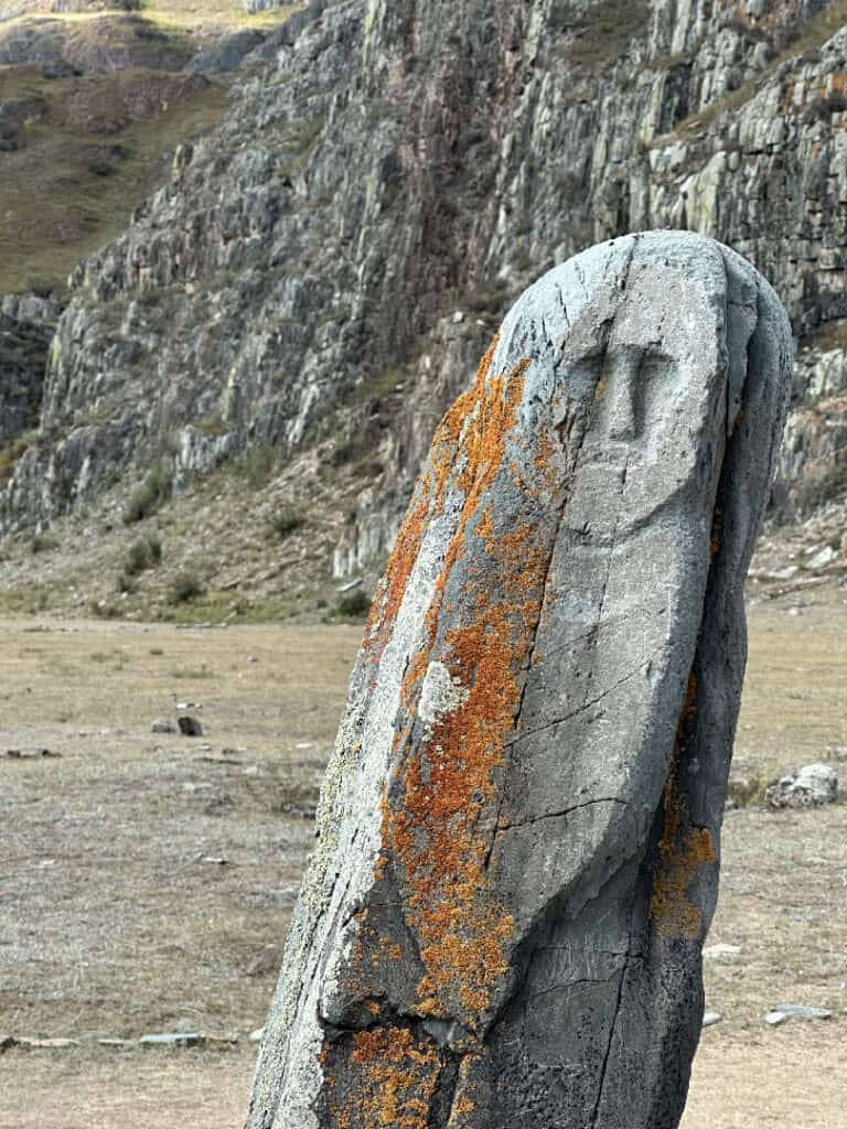 Stellea in de Altai