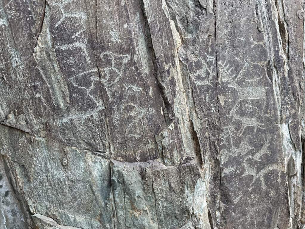 Afbeeldingen van dieren uit het Neolithicum op rotsplaat in de Altai in Siberie