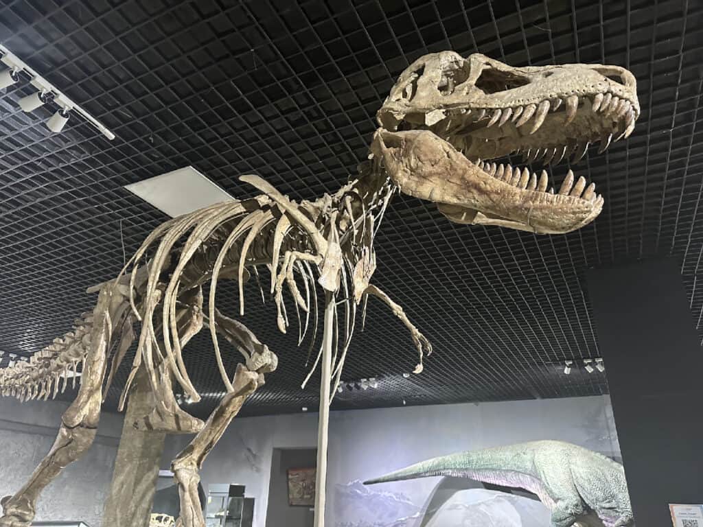 De Tarbosaurus bataar